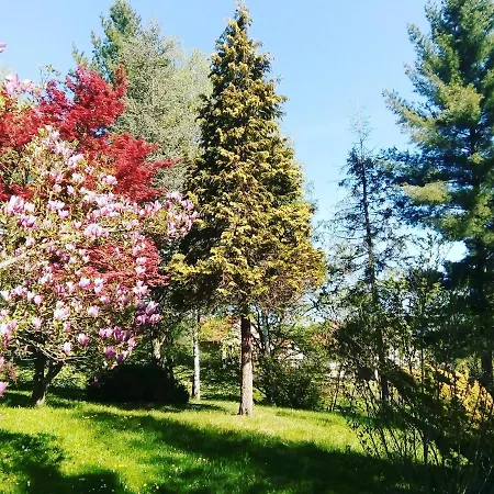 Takovo - Odmor U Selu *