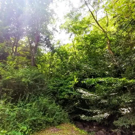 Takovo - Odmor U Selu Gornji Milanovac