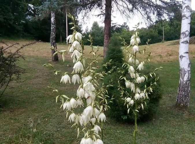 Takovo - Odmor U Selu * Gornji Milanovac