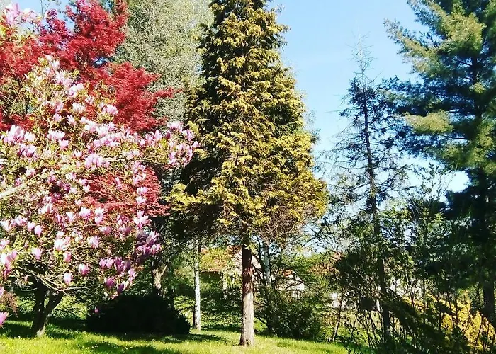 Takovo - Odmor U Selu *