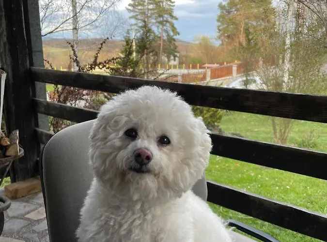 Takovo - Odmor U Selu