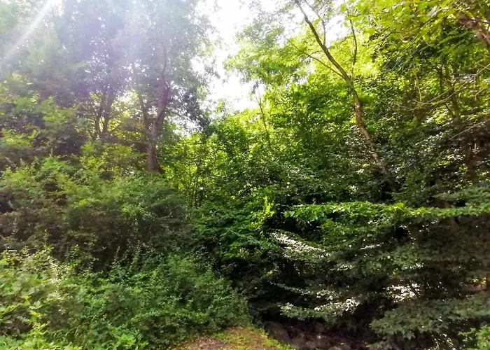 Takovo - Odmor U Selu Gornji Milanovac